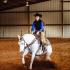 MTSU Stock Horse Team Brings Home ASHA National Titles